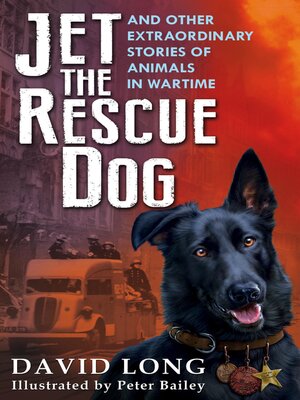 cover image of Jet the Rescue Dog